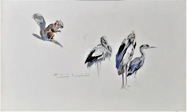 Aves y ardilla - Carlos Bécquer Domínguez